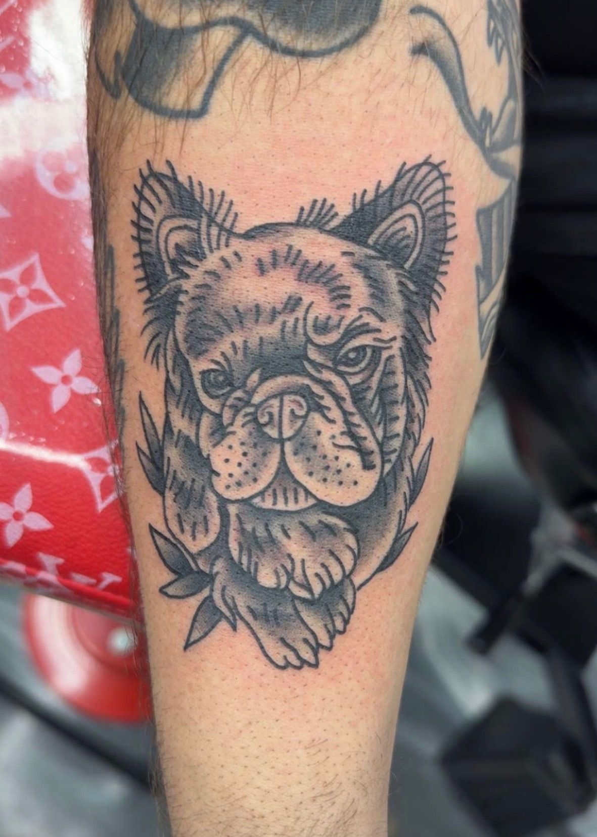 Black and grey French bulldog portrait tattoo on a forearm